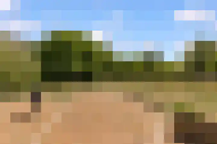 Heemstedelaan 12 Utrecht thumbnail 38