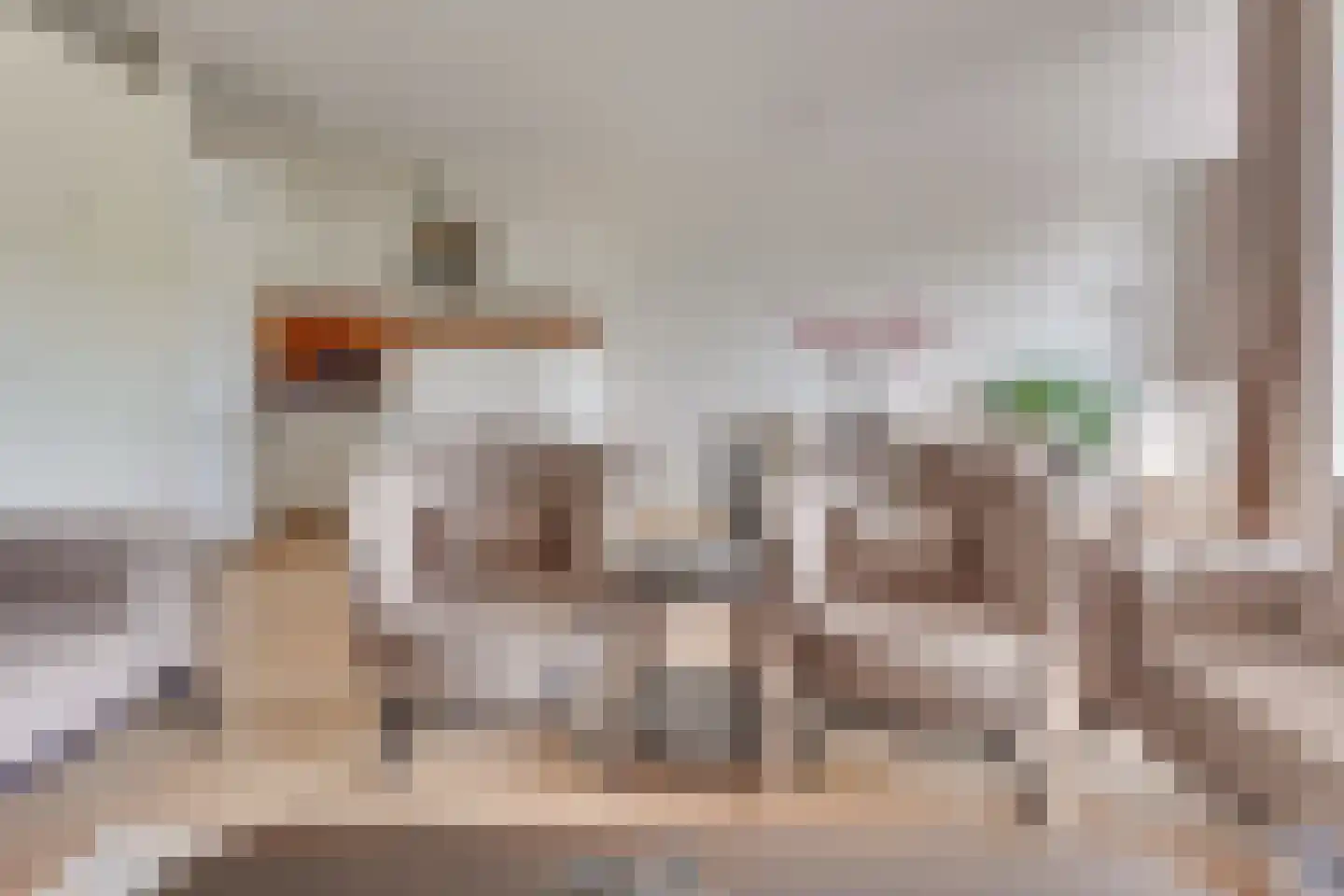 Heemstedelaan 21 Utrecht thumbnail 13