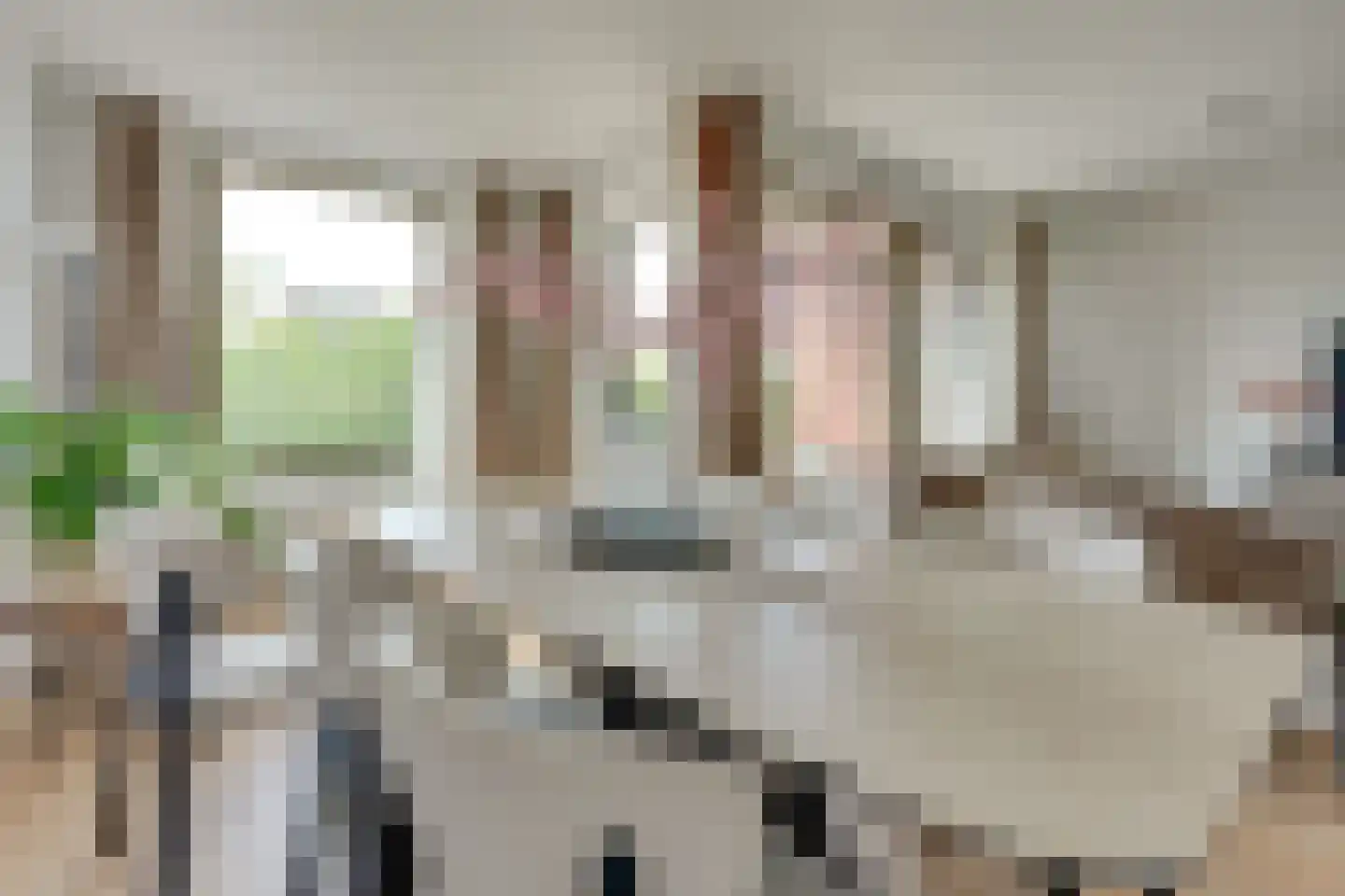 Heemstedelaan 21 Utrecht thumbnail 22