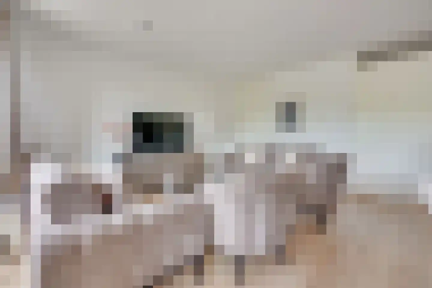 Heemstedelaan 21 Utrecht thumbnail 24