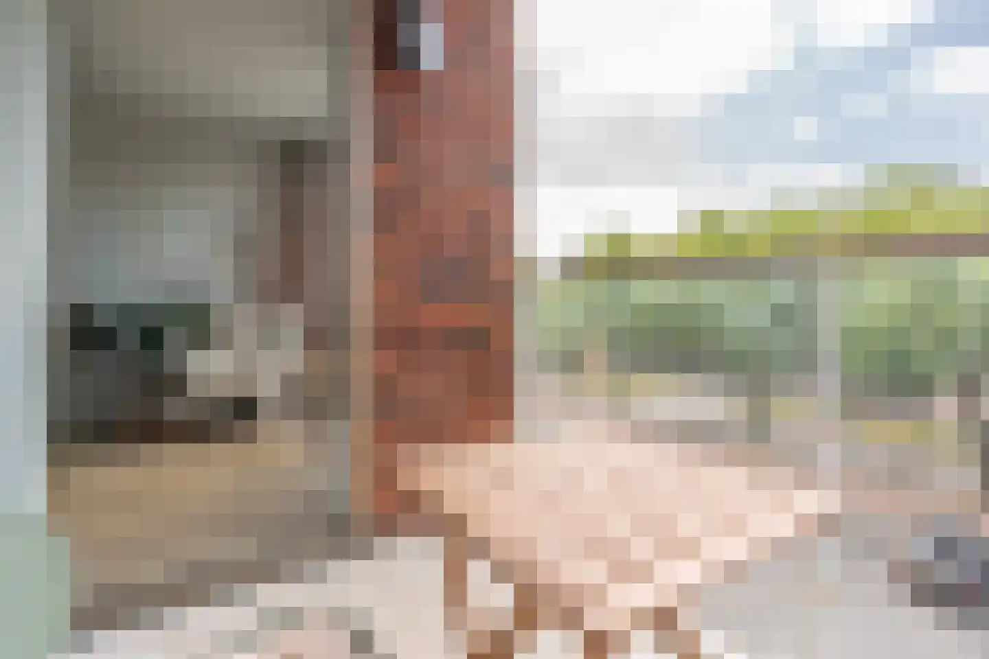 Heemstedelaan 21 Utrecht thumbnail 27