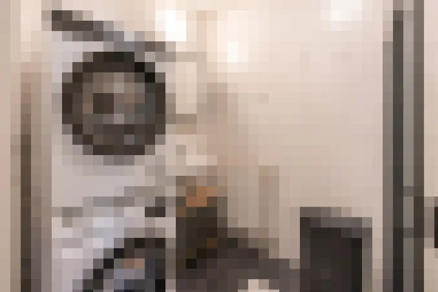 Heemstedelaan 21 Utrecht thumbnail 37