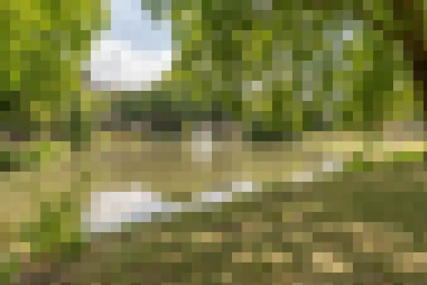 Heemstedelaan 21 Utrecht thumbnail 54