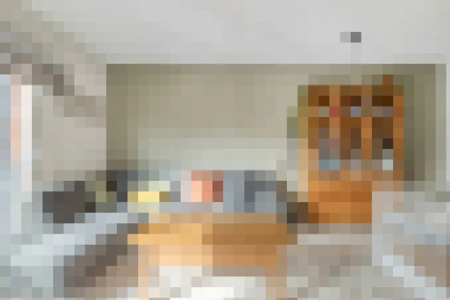 Heemstedelaan 30 Utrecht thumbnail 20