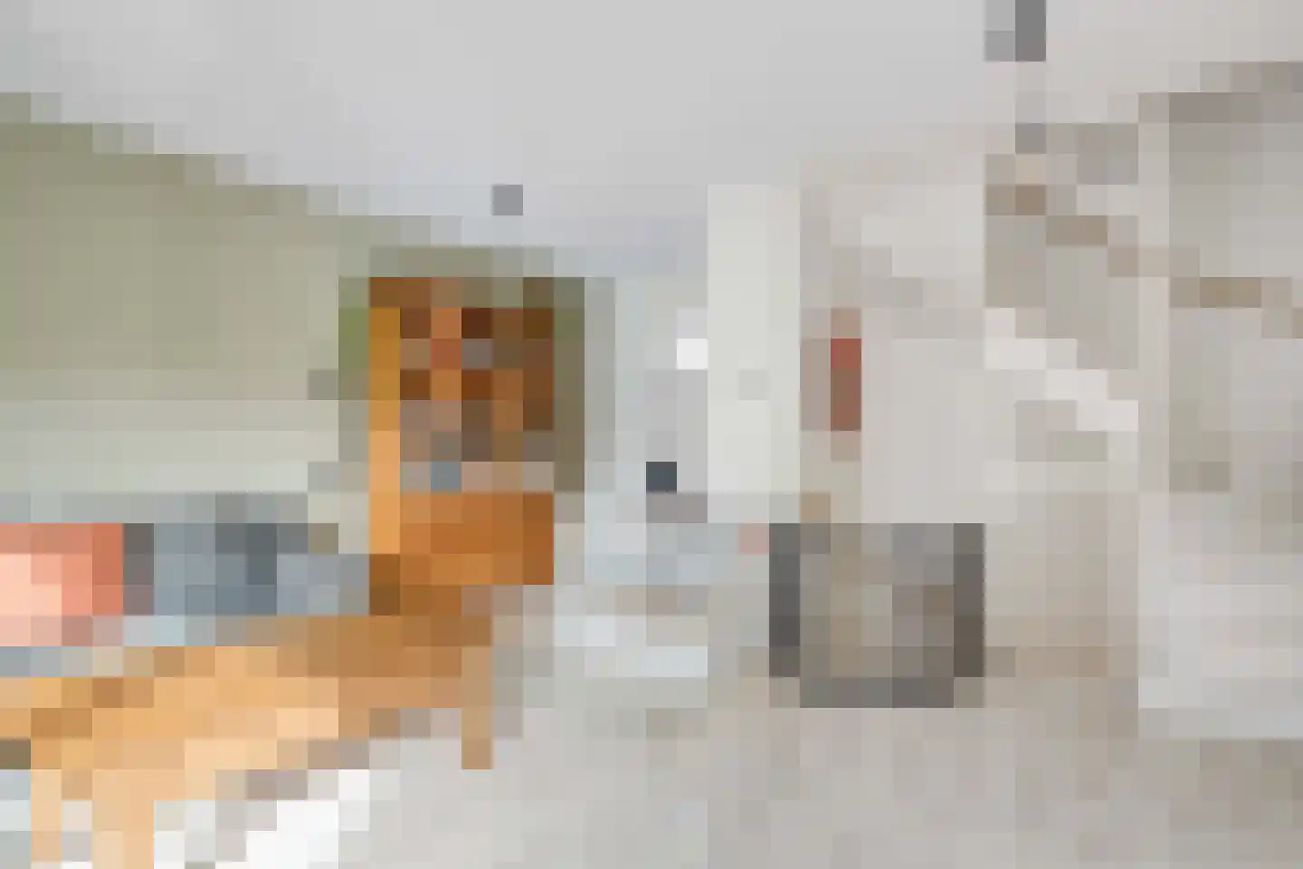 Heemstedelaan 30 Utrecht thumbnail 21
