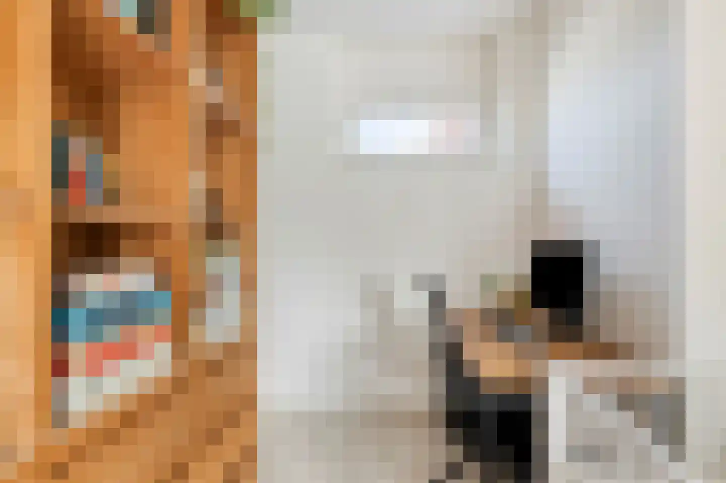 Heemstedelaan 30 Utrecht thumbnail 24
