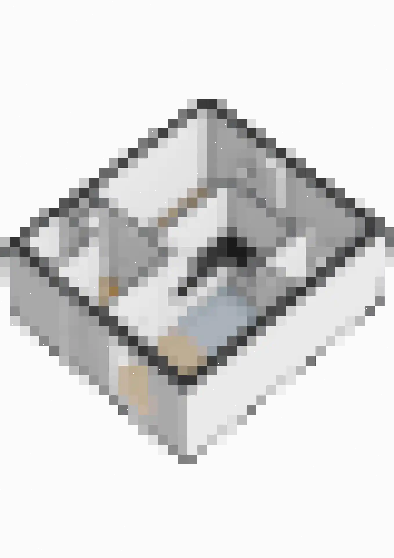 Heemstedelaan 30 Utrecht thumbnail 38