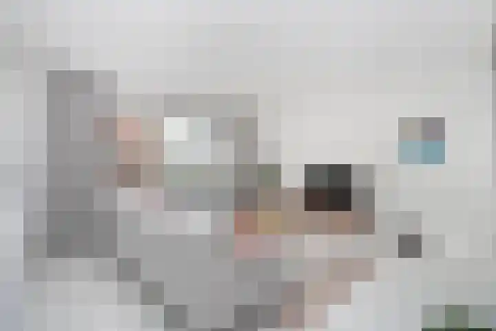 Heemstedelaan 4 Utrecht thumbnail 15