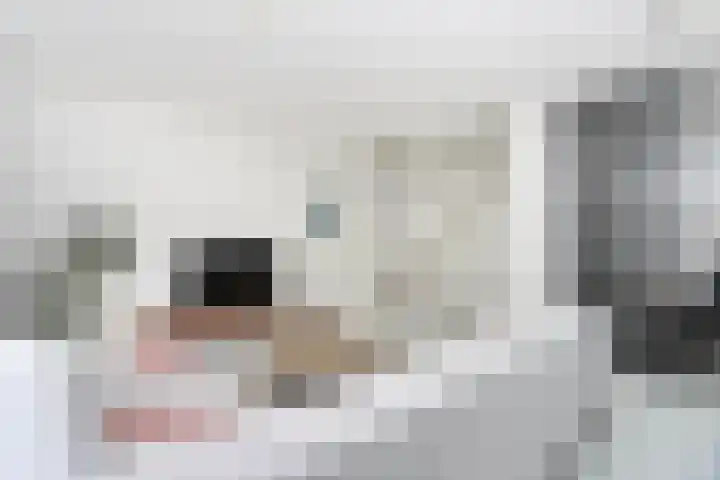 Heemstedelaan 4 Utrecht thumbnail 16