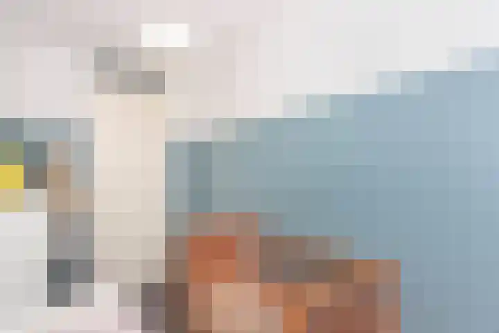 Heemstedelaan 4 Utrecht thumbnail 23
