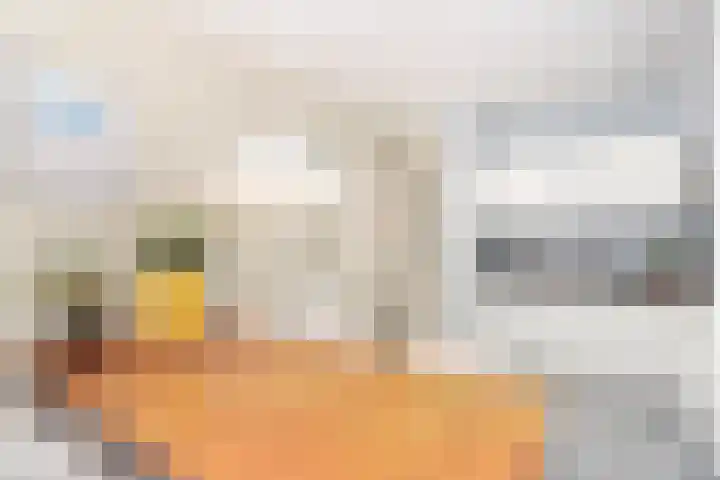Heemstedelaan 4 Utrecht thumbnail 4
