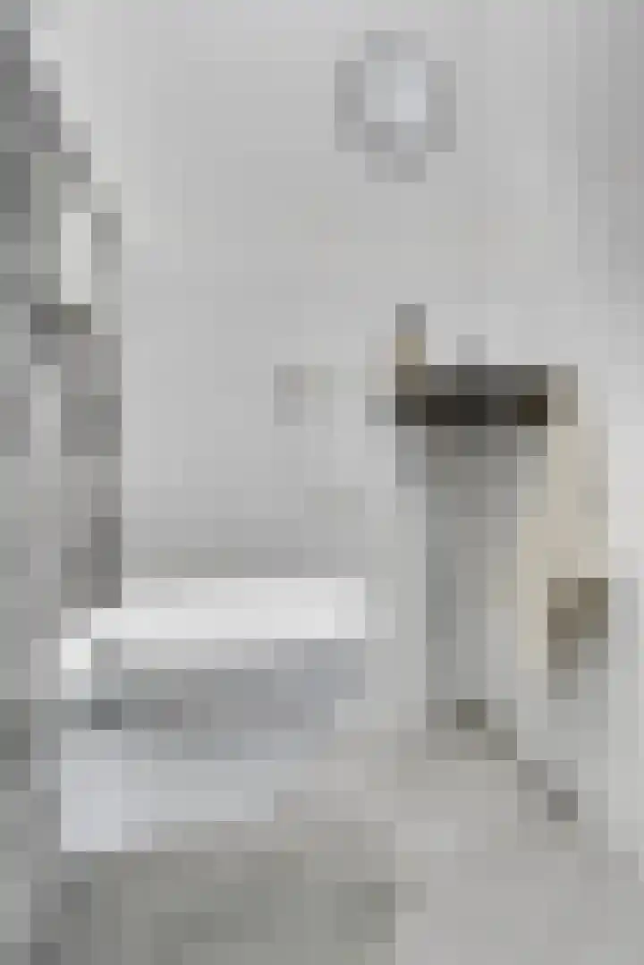 Heemstedelaan 41 Utrecht thumbnail 16