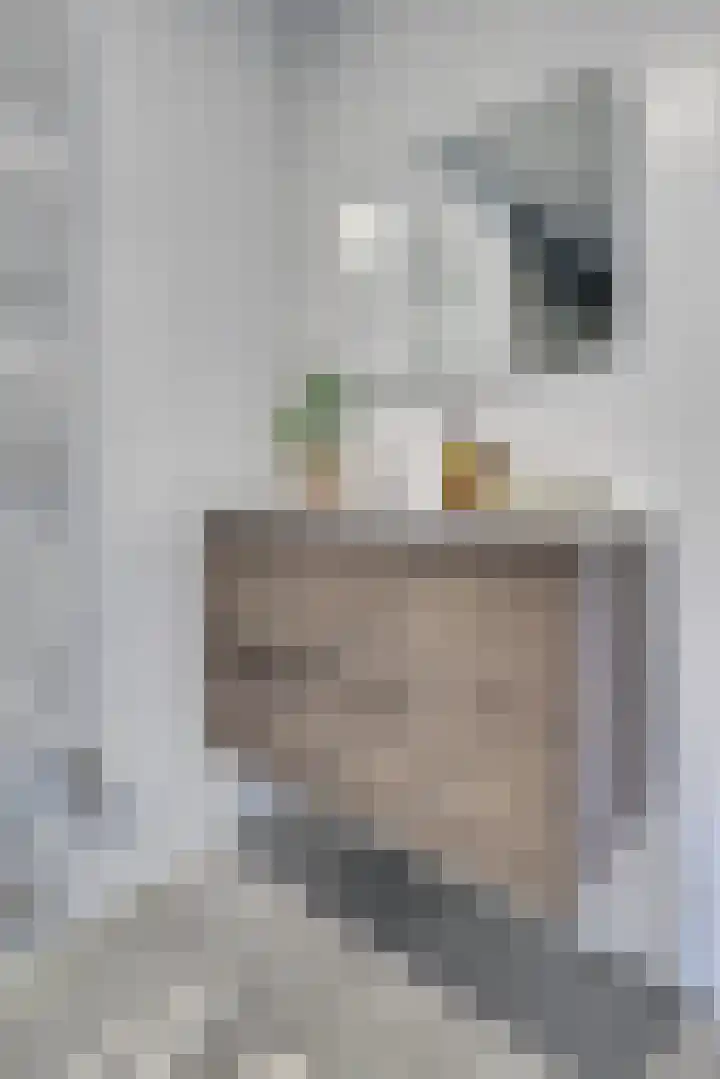 Heemstedelaan 41 Utrecht thumbnail 18