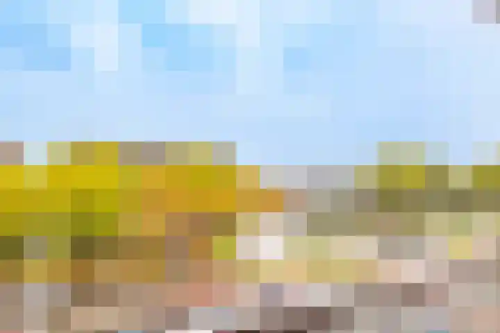 Heemstedelaan 41 Utrecht thumbnail 25