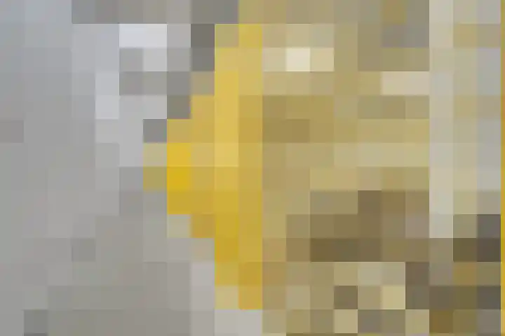 Heemstedelaan 41 Utrecht thumbnail 34