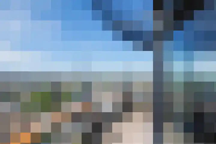 Heemstedelaan 41 Utrecht thumbnail 42
