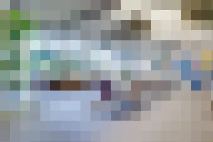 Heemstedelaan 41 Utrecht thumbnail 45