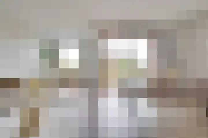 Heemstedelaan 41 Utrecht thumbnail 6