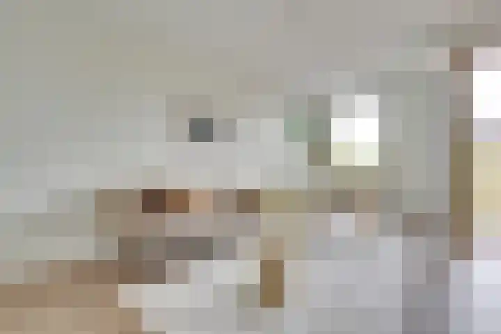 Heemstedelaan 41 Utrecht thumbnail 7