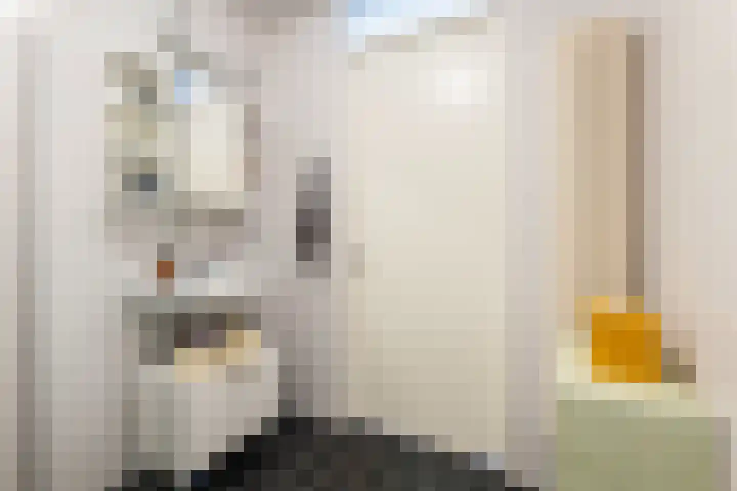 Heemstedelaan 65 Utrecht thumbnail 15