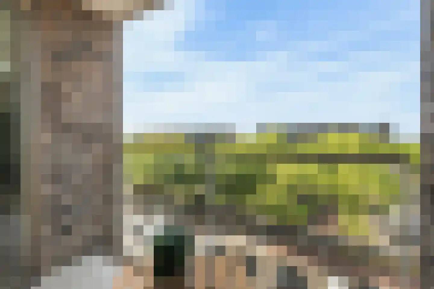 Heemstedelaan 65 Utrecht thumbnail 21