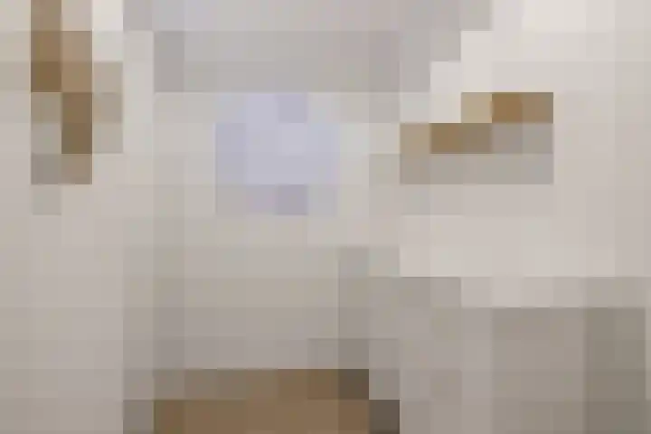 Heemstedelaan 7 Utrecht thumbnail 13