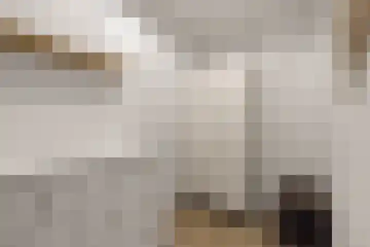 Heemstedelaan 7 Utrecht thumbnail 14