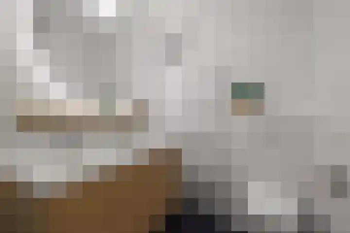 Heemstedelaan 7 Utrecht thumbnail 16