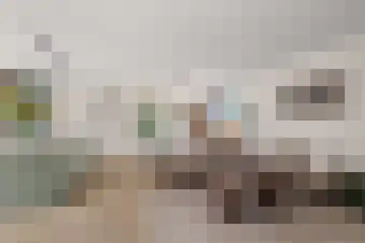 Heemstedelaan 7 Utrecht thumbnail 18