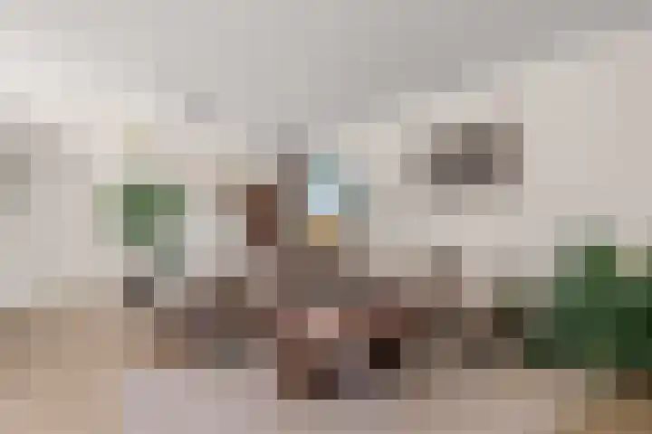 Heemstedelaan 7 Utrecht thumbnail 22