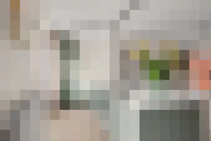 Heemstedelaan 7 Utrecht thumbnail 31