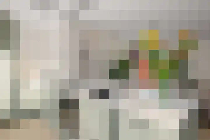 Heemstedelaan 7 Utrecht thumbnail 32