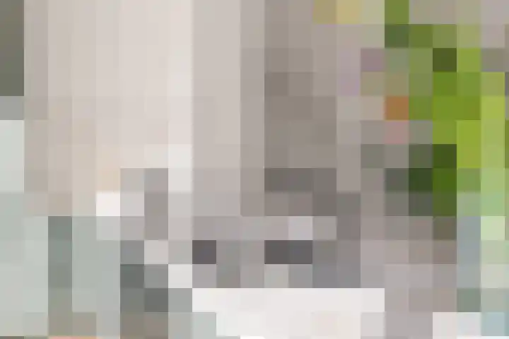Heemstedelaan 7 Utrecht thumbnail 33