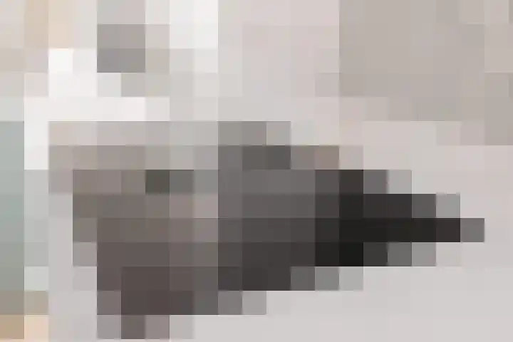 Heemstedelaan 7 Utrecht thumbnail 34