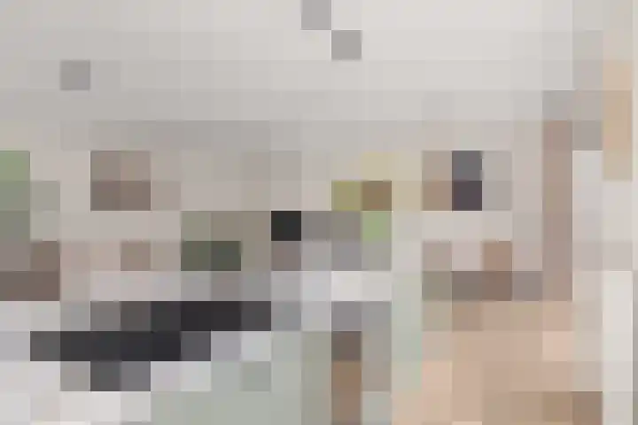 Heemstedelaan 7 Utrecht thumbnail 35
