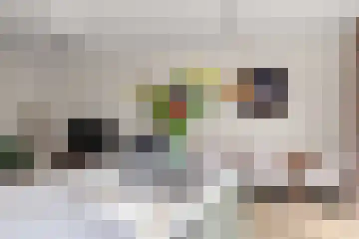 Heemstedelaan 7 Utrecht thumbnail 36