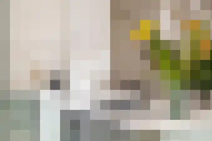 Heemstedelaan 7 Utrecht thumbnail 37