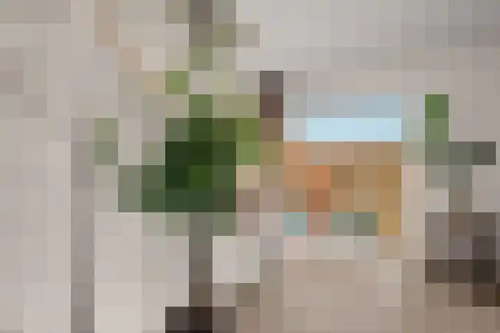 Heemstedelaan 7 Utrecht thumbnail 39