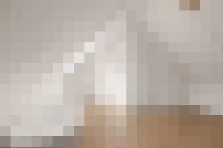 Heemstedelaan 7 Utrecht thumbnail 44