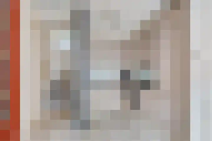 Heemstedelaan 8 Utrecht thumbnail 10