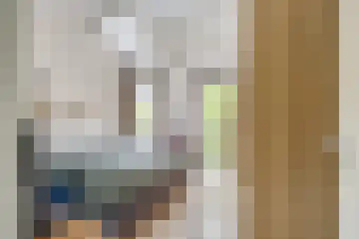 Heemstedelaan 8 Utrecht thumbnail 20