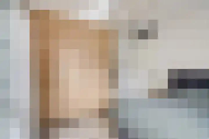 Heemstedelaan 8 Utrecht thumbnail 22