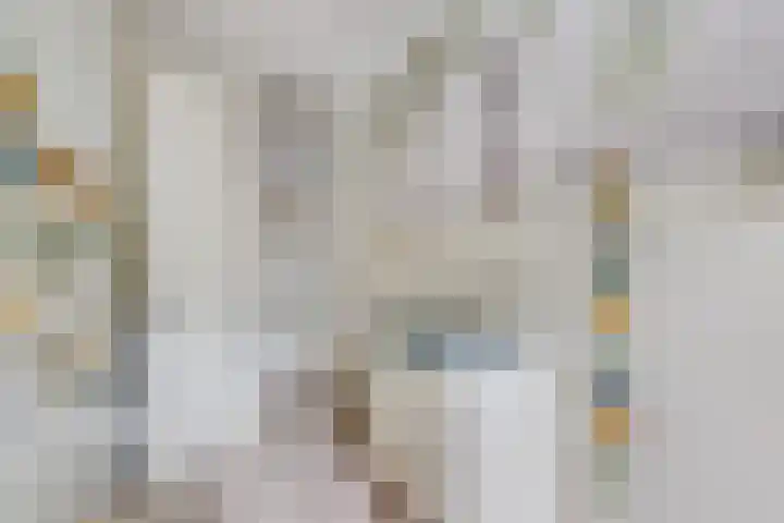Heemstedelaan 8 Utrecht thumbnail 24