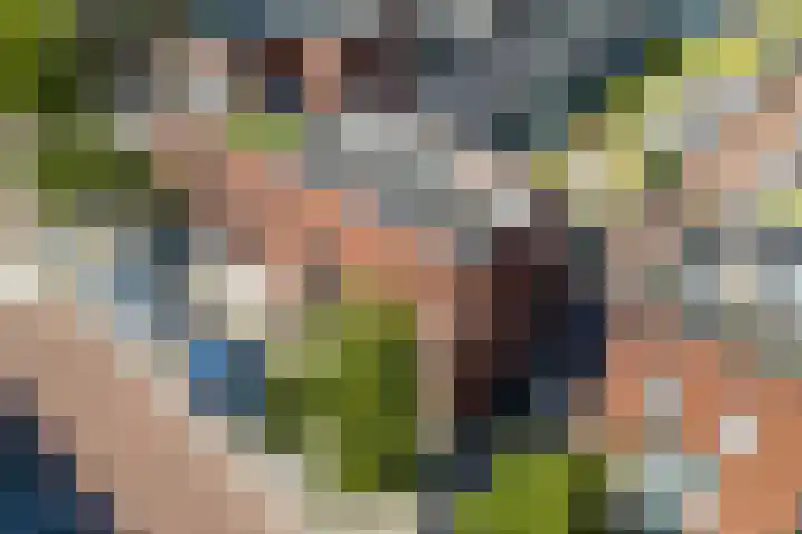 Heemstedelaan 8 Utrecht thumbnail 33
