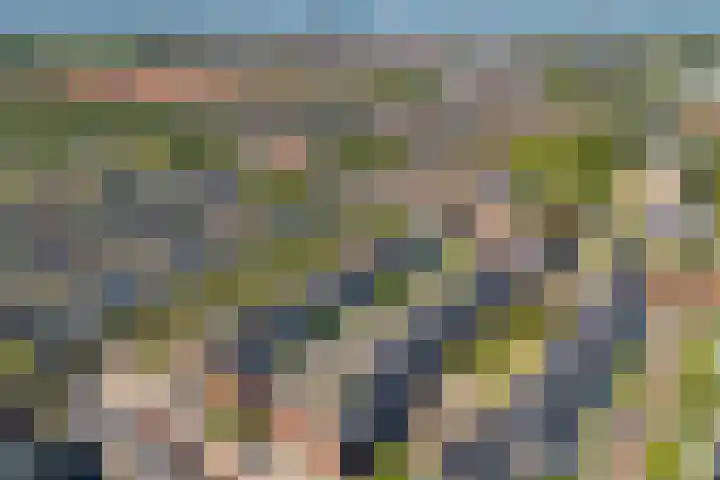 Heemstedelaan 8 Utrecht thumbnail 34