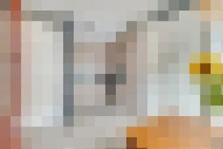 Heemstedelaan 8 Utrecht thumbnail 8