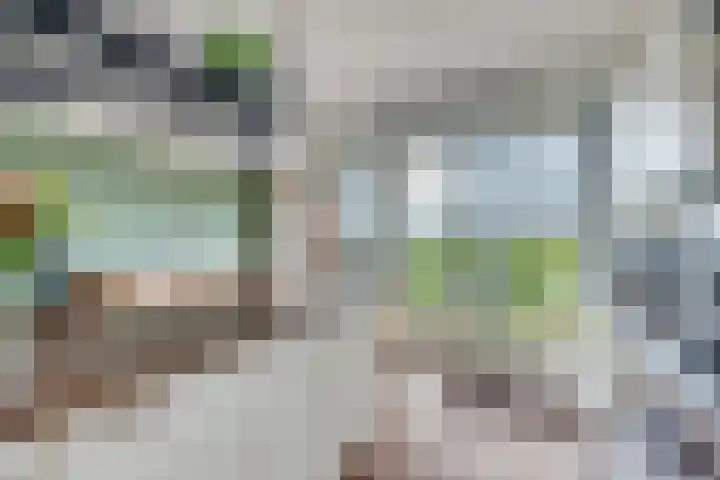 Heemstedelaan 91 Utrecht thumbnail 16