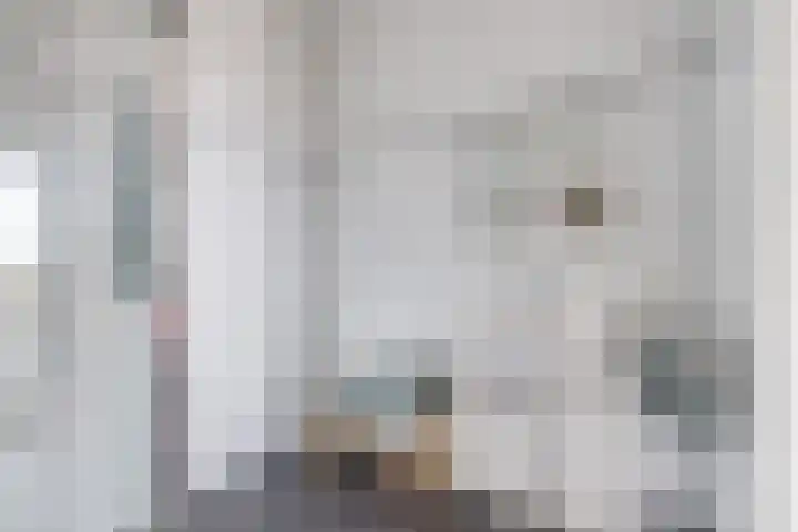 Heemstedelaan 91 Utrecht thumbnail 26