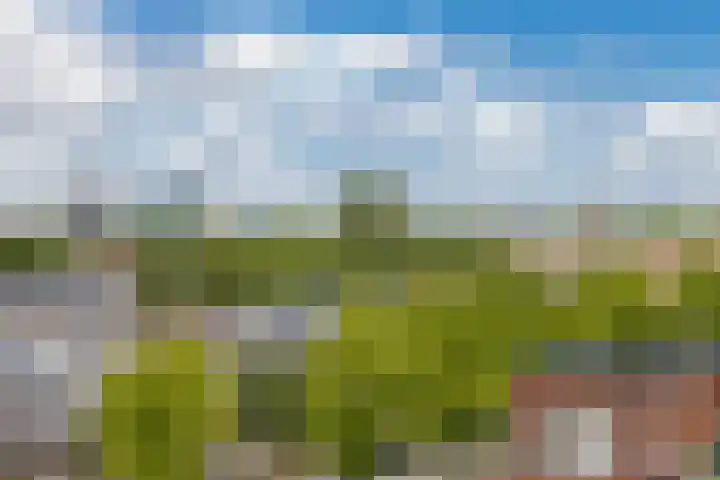 Heemstedelaan 91 Utrecht thumbnail 28