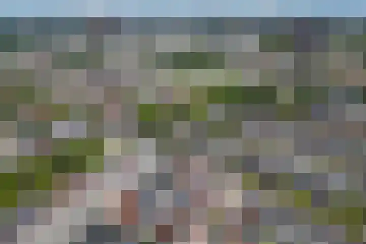 Heemstedelaan 91 Utrecht thumbnail 32